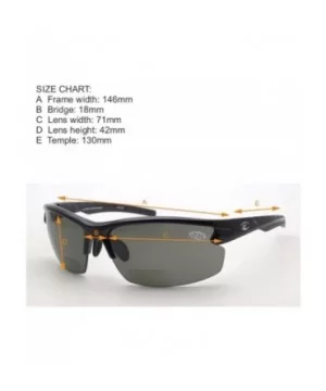 The Wedge Polarized Bifocal Sunglasses - Sunglasses and Sun Readers in One - Black - CT18SZGHCZS $43.36 Rimless