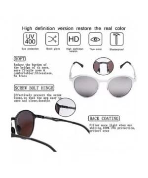 Retro Round Trendy Polarized Sunglasses for Women and Men UV400 Protection - Silver Frame+silver Lens01 - CD18KWHQSXG $13.01 ...