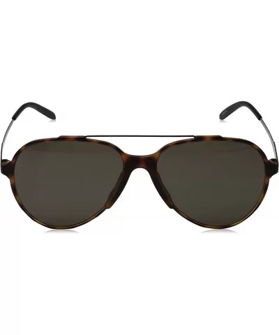 CA118/S Square Sunglasses- Light Havana/Blue- 57 mm - Havana Black/Brown Gray - C612DP526RD $54.06 Aviator