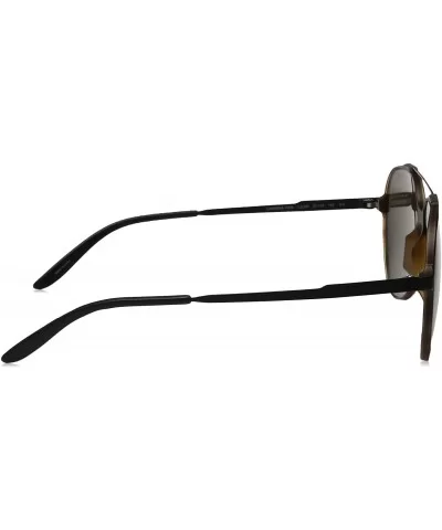 CA118/S Square Sunglasses- Light Havana/Blue- 57 mm - Havana Black/Brown Gray - C612DP526RD $54.06 Aviator