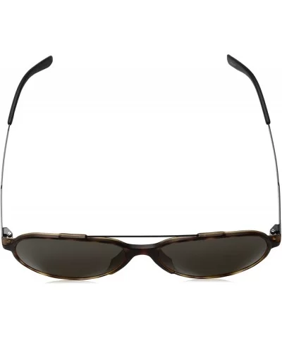 CA118/S Square Sunglasses- Light Havana/Blue- 57 mm - Havana Black/Brown Gray - C612DP526RD $54.06 Aviator