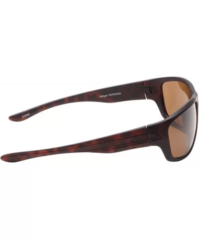 Striper Sunglasses with Brown Polarized Lens - Tortoise (Large) - CI119C98LZ3 $12.59 Sport