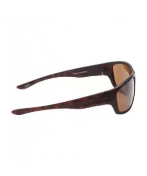 Striper Sunglasses with Brown Polarized Lens - Tortoise (Large) - CI119C98LZ3 $12.59 Sport