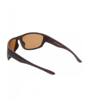 Striper Sunglasses with Brown Polarized Lens - Tortoise (Large) - CI119C98LZ3 $12.59 Sport