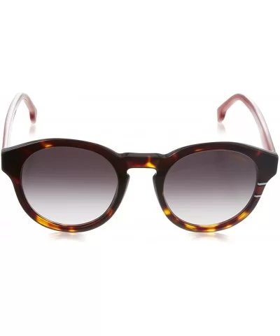 CA165/S Unisex Oval Sunglasses - Havana Red - CG180XHS2QH $44.65 Round