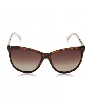 Women's Pld4058/S Cat-Eye Sunglasses - Dark Havana - CZ186Y2Y79R $39.06 Cat Eye