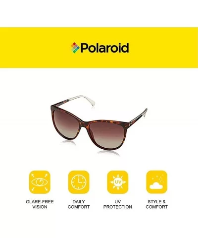 Women's Pld4058/S Cat-Eye Sunglasses - Dark Havana - CZ186Y2Y79R $39.06 Cat Eye