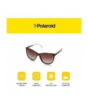 Women's Pld4058/S Cat-Eye Sunglasses - Dark Havana - CZ186Y2Y79R $39.06 Cat Eye