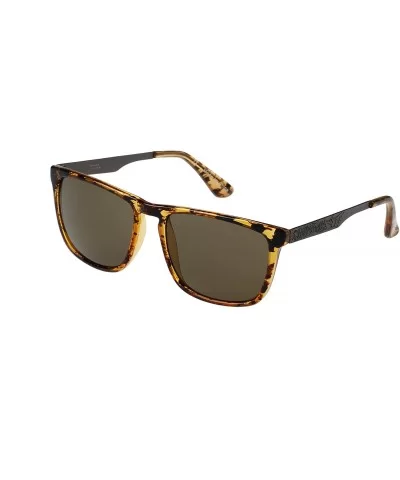 Devon Polarized Square Sunglasses - Gloss Havana Tort / Brown - C4188KKDXH8 $18.18 Aviator