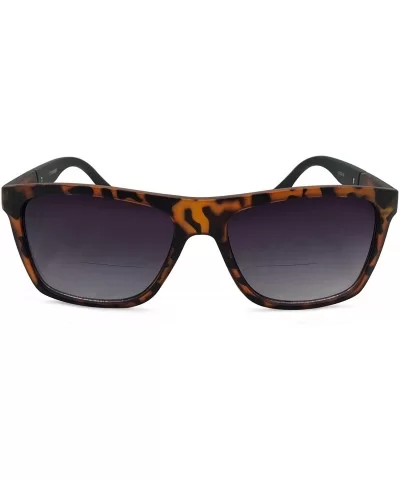 Amor Nearly No Line Bifocal Sunglasses for Women and Men - Tortoise - CY18CORI5GR $17.74 Square