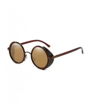 Steampunk Vintage Retro Round Sunglasses Metal Circle Frame - Brown Lens+brown Frame - CS17YD2ADST $14.33 Aviator