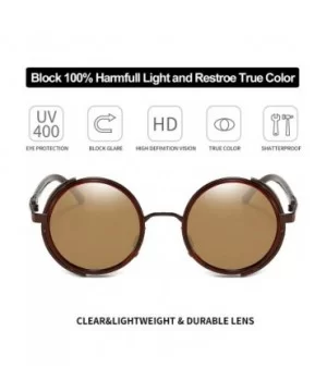 Steampunk Vintage Retro Round Sunglasses Metal Circle Frame - Brown Lens+brown Frame - CS17YD2ADST $14.33 Aviator