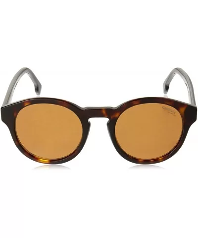 CA165/S Unisex Oval Sunglasses - Dark Havana - CP180XDMTI7 $47.23 Sport