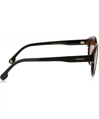 CA165/S Unisex Oval Sunglasses - Dark Havana - CP180XDMTI7 $47.23 Sport