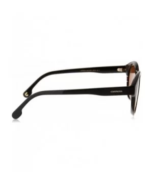 CA165/S Unisex Oval Sunglasses - Dark Havana - CP180XDMTI7 $47.23 Sport