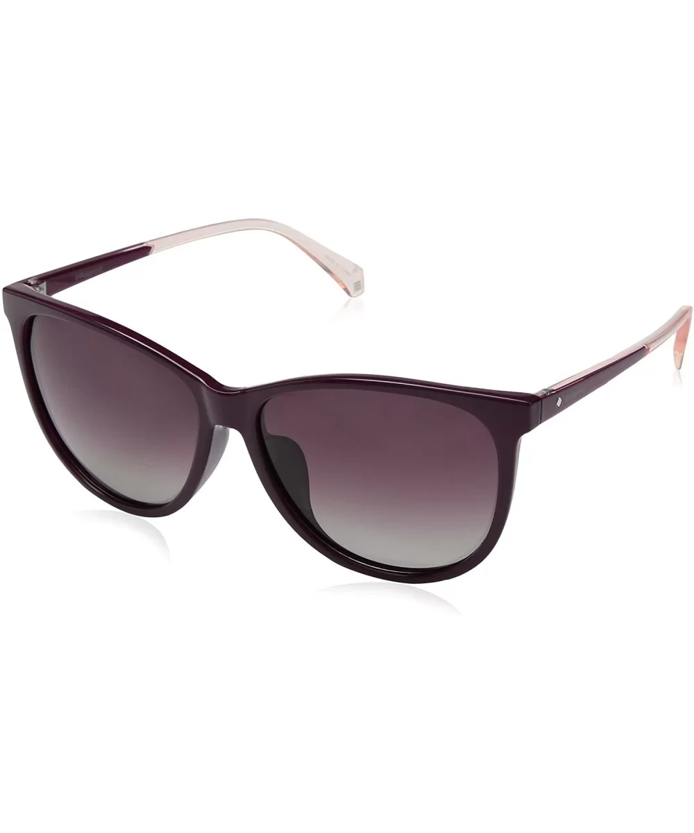 Women's Pld4058f/S Cat-Eye Sunglasses - Ople Burg - CQ187I3R3RA $53.93 Cat Eye